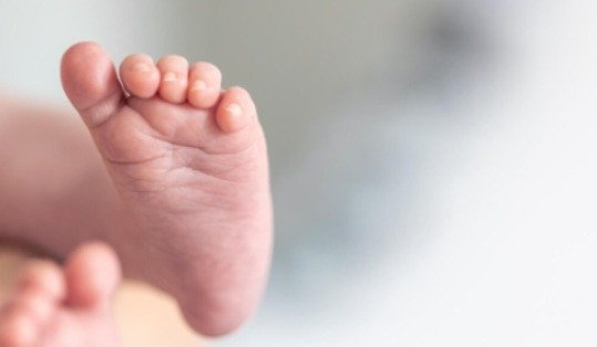 Geger! Penemuan Bayi Perempuan Dimutilasi di Dalam Lemari Indekos