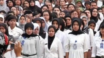 Pengangkatan PPPK Paruh Waktu Tunggu Arahan Pusat, Ribuan Honorer Masih Menanti Kepastian