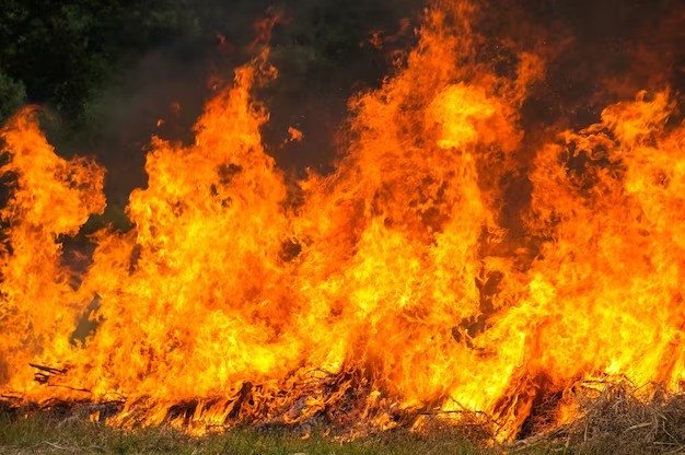 PJ Gubernur Sumsel, Agus Fatoni Minta Tindak Tegas Pelaku Karhutla dalam Rakor Penanggulangan Kebakaran Hutan dan Lahan