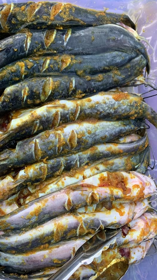 Sekolah Tolak Menu MBG Berisi Lele Mentah, BGN Beri Penjelasan