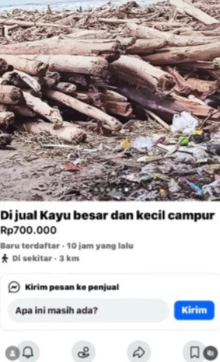 Viral! Kayu Gelondongan Terseret Banjir Diperjualbelikan di Marketplace