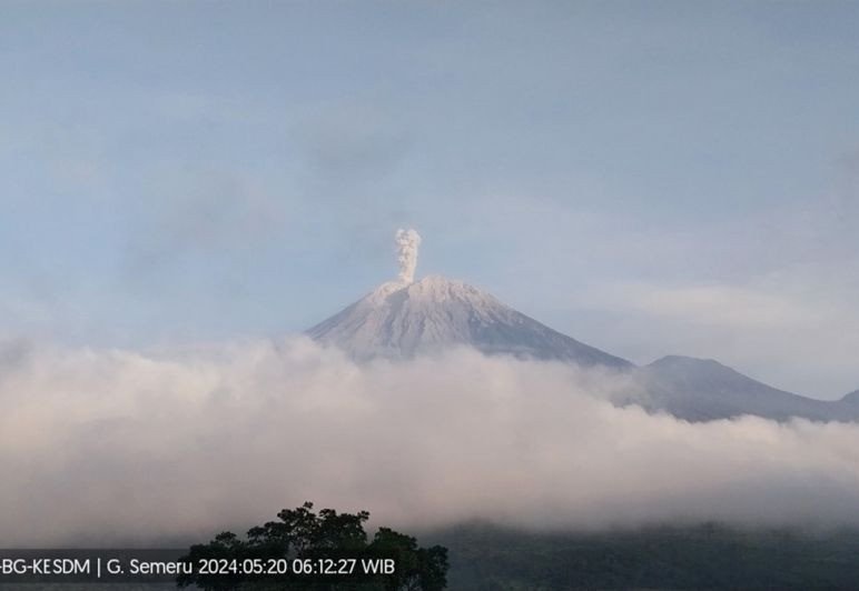 Gunung Semeru Kembali Erupsi Lontarkan Abu Vulkanik 800 Meter, PVMBG Berikan Himbauan